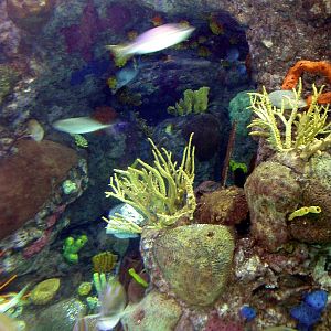 Pictures taken around opening