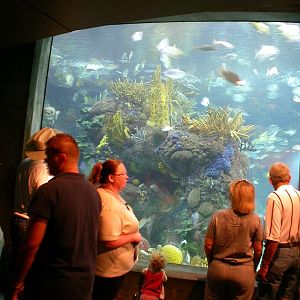 Pictures taken around opening