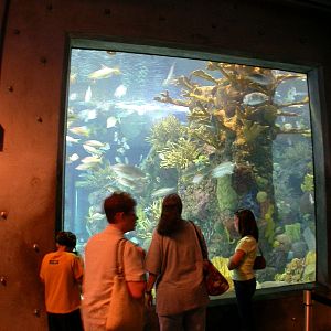 Pictures taken around opening