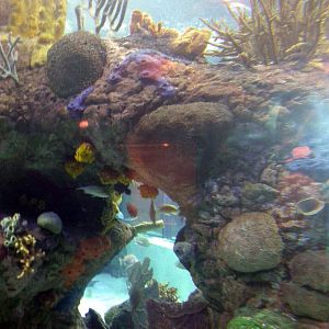 Pictures taken around opening