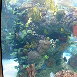 Pictures taken around opening