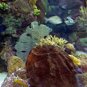 Pictures taken around opening