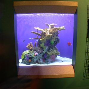 Pictures taken around opening