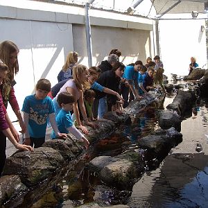 Pictures of various exhibits