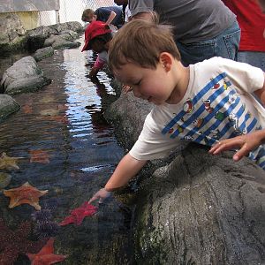 Pictures of various exhibits