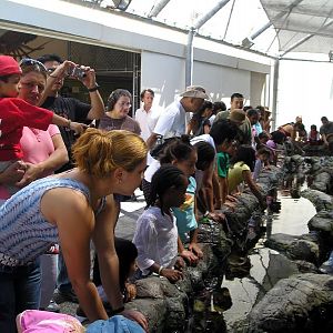 Pictures of various exhibits