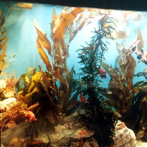 Pictures of various exhibits