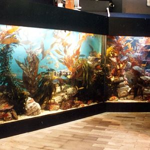 Pictures of various exhibits