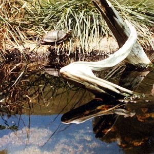 Various pictures of the Waters building