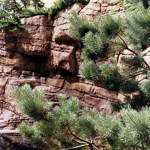 Various pictures of the Waters building