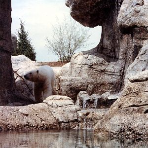 Various pictures of the Waters building