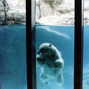 Various pictures of the Waters building