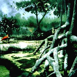 Various pictures of the Waters building