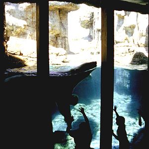 Various pictures of the Waters building