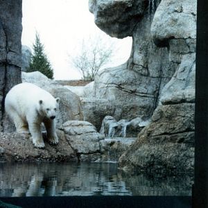 Various pictures of the Waters building