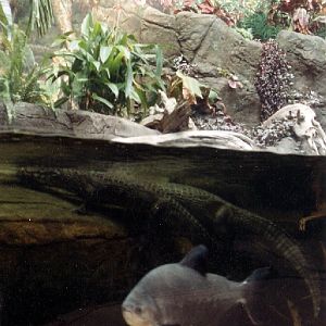 Various pictures of the Waters building