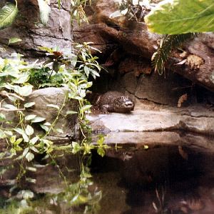 Various pictures of the Waters building