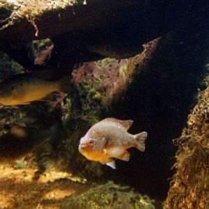 Various pictures of the Waters building