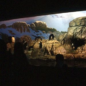 Various pictures of the Waters building