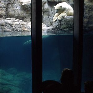 Various pictures of the Waters building