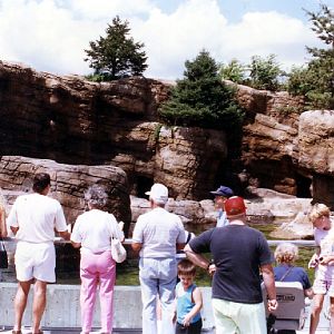 Various pictures of the Waters building