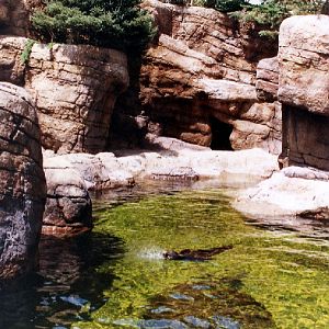 Various pictures of the Waters building