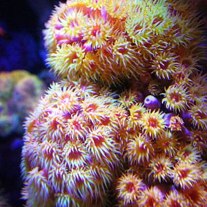 Various Pictures of Aquarium