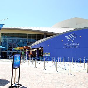 Various Pictures of Aquarium