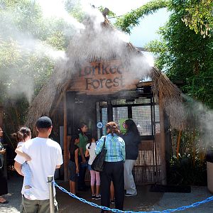 Various Pictures of Aquarium