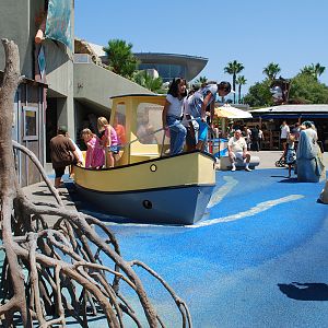 Various Pictures of Aquarium