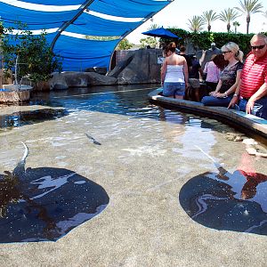 Various Pictures of Aquarium