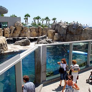 Various Pictures of Aquarium