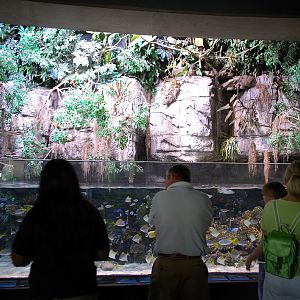 Various Pictures of Aquarium