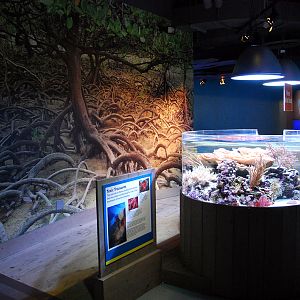 Various Pictures of Aquarium