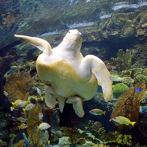 Various Pictures of Aquarium