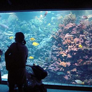 Various pictures of MOC