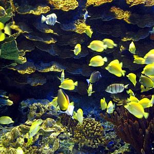 Various pictures of MOC