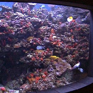 Various pictures of MOC