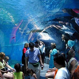 Various pictures of MOC