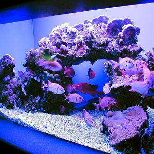 Various pictures of MOC