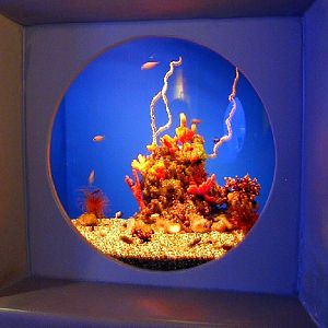 Various pictures of MOC