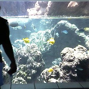 Various pictures of MOC