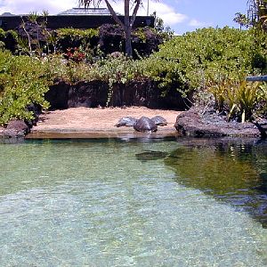 Various pictures of MOC