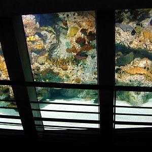 Various pictures of NAIB