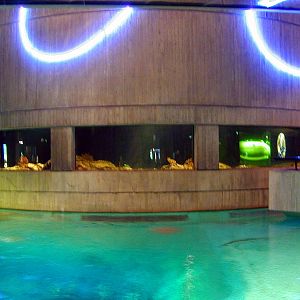 Various pictures of NAIB