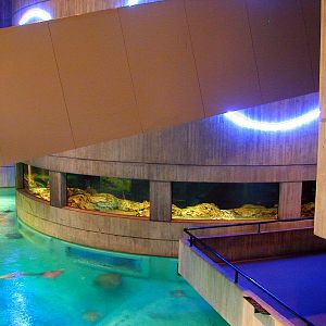 Various pictures of NAIB