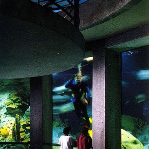 Various pictures of NAIB