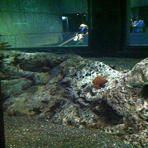 Various pictures of NAIB