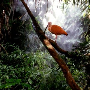 Various pictures of NAIB