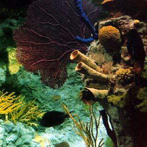 Various pictures of NAIB